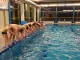 Bild Schwimmabteilung 4