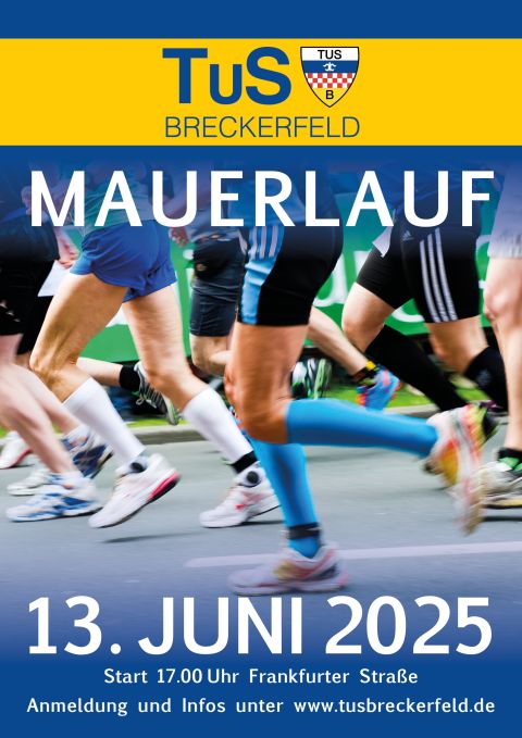 Plakat Mauerlauf 2025
