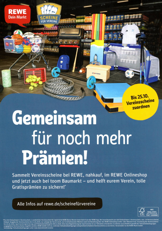 Scheine Vereine Plakat